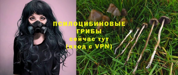 первитин Нязепетровск