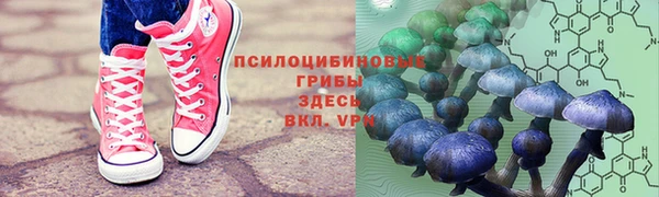 первитин Нязепетровск
