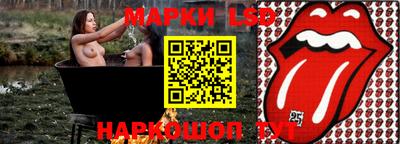 амф Камышлов