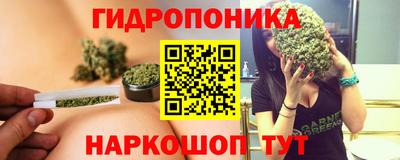 амф Камышлов