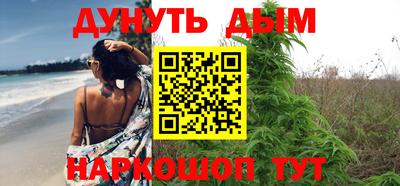 apvp Канаш