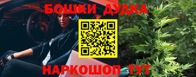 apvp Канаш