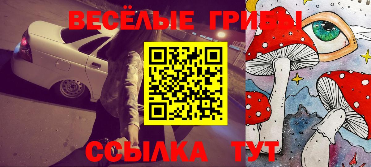 Галлюциногенные грибы Cubensis Морозовск