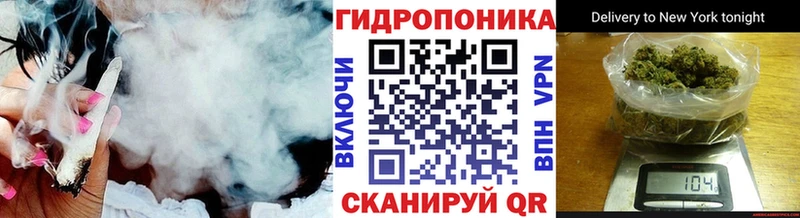 Бошки Шишки сатива  закладка  Морозовск 